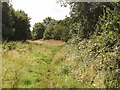 Footpath from Beacon Hill to Loudwater