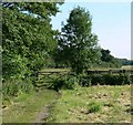 Public Footpath near Quorn, Leicestershire