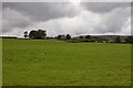 Field below Chipping Lawn Farm