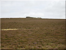 NT9328 : Moorland view to Tom Tallon's Crag by Phil Catterall