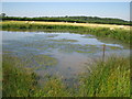 Pond at top of Firtree Hill