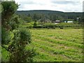 Farmland View