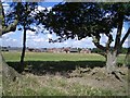 Pastures East of Bozeat Village