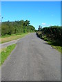 Straight stretch of single track road by Pinsla Park