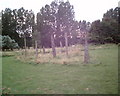 Wooden decoration in Bradlaugh Fields