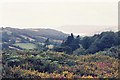 Hardown Hill: view west