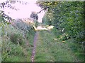 Byway near Down Barn, Homington