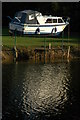 Stranded by the flood, Bredon Dock