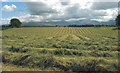 A good day for drying the hay