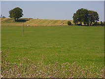 SU2635 : Farmland, Nether Wallop by Andrew Smith