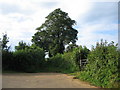 Footpath to Upton Noble