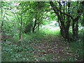 Footpath from Henley Grove Farm