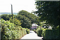 Exmoor: lane to Honeymead Farm