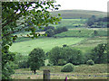 Farmland and Esgair Hir, Ceredigion