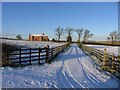 Hickory Lodge Farm