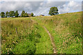 Bridleway to Higher Greystoneley