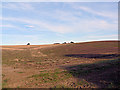 Toward Asterby Top Farm