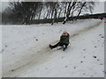 Toboggan Run, Cavendish Golf Course, Buxton