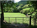 Farmland at Nant-Carfan