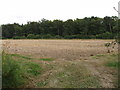 Harvested wheat field