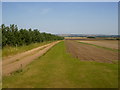 Turf growing and harvesting near Grange Cottage