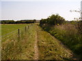 Bridleway near South Farm