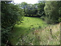 Grazing land at Blaen-y-cwm