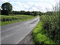 Road at Rossmore