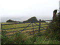 Gateway to a misty field