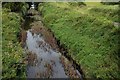 Disused Newry canal near Portadown (1)