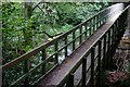 Footbridge, Clare Glen, Tanderagee (2)