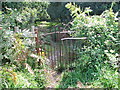 Kissing Gate into Beacon Ash