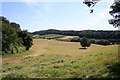 Rolling Countryside Viewed from the Worcestershire Way