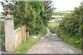 The lane to East Plaistow from Abscott farm