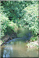 River Frome from roadbridge