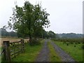 Public bridleway to Catlowdy