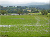 SO1227 : Waterlogged field by George Evans