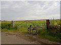 Gate into maize field.