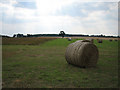 TF9524 : Baled hay near "Conservation Walk" by Zorba the Geek