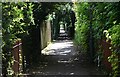 Footpath, Hanbury Park, Worcester.