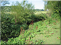 River and water meadows near Old Carr wood