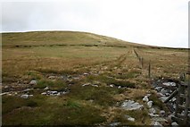SD8497 : Looking back to Great Shunner Fell by Steve Partridge
