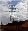 Pylon in your back garden.