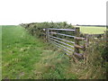 Grazing land near Newton Cross