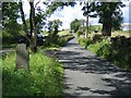 The Lane to High Birkwith