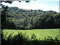 Meadow above Kerne Bridge