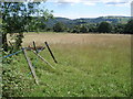 Meadow near Warren Farm