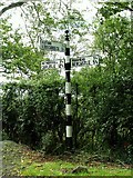 NY4970 : Cumberland signpost near Roweltown by Rose and Trev Clough