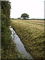 Ditch and stubble field near Lower Towthorpe