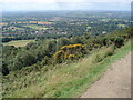 Slopes of Pinnacle Hill